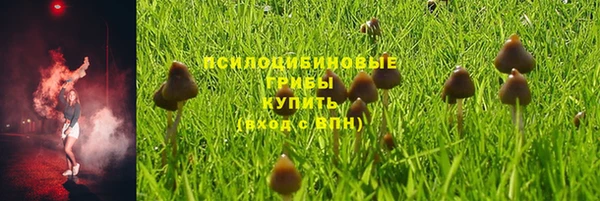 гашиш Богородск